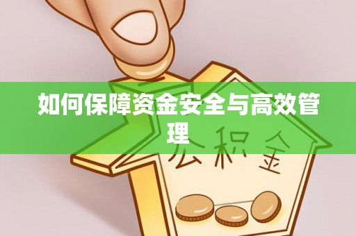 鄄城如何保障资金安全与高效管理