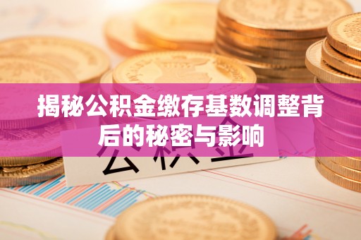 鄄城揭秘公积金缴存基数调整背后的秘密与影响