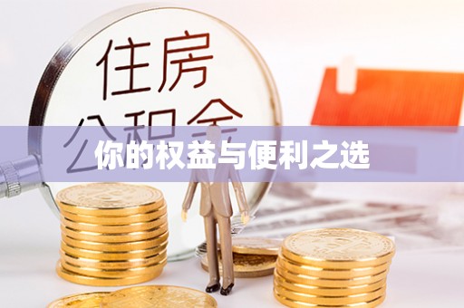 鄄城你的权益与便利之选