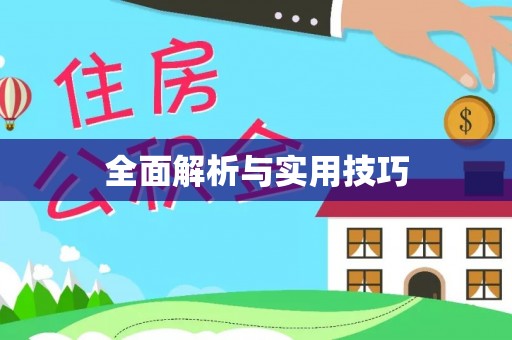 鄄城全面解析与实用技巧