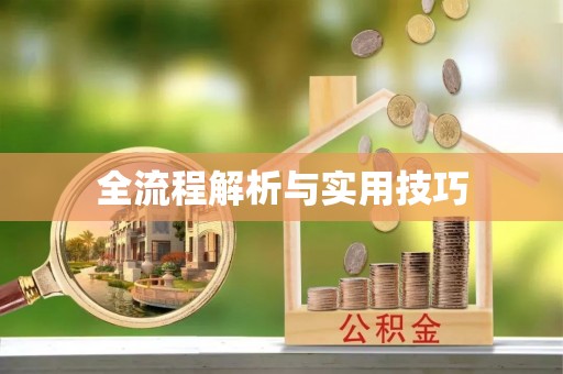鄄城全流程解析与实用技巧
