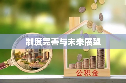 鄄城制度完善与未来展望