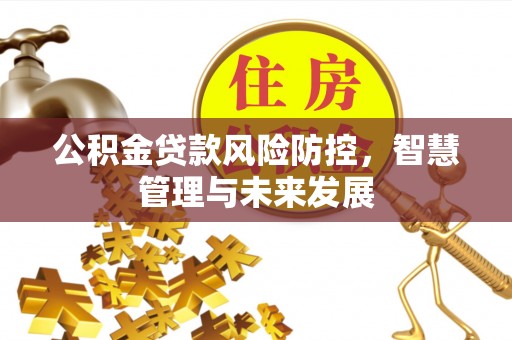 鄄城公积金贷款风险防控，智慧管理与未来发展
