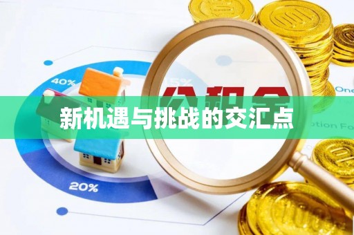 鄄城新机遇与挑战的交汇点