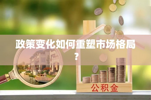 鄄城政策变化如何重塑市场格局？
