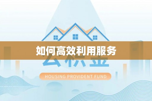 鄄城如何高效利用服务