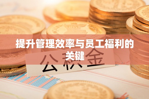 鄄城提升管理效率与员工福利的关键