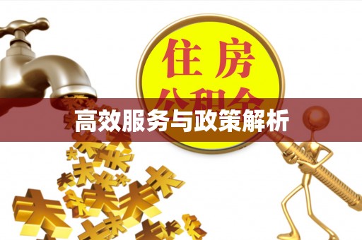 鄄城高效服务与政策解析