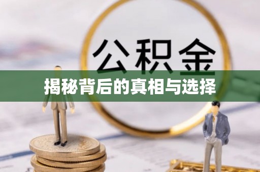 鄄城揭秘背后的真相与选择