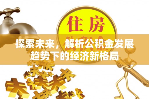 鄄城探索未来，解析公积金发展趋势下的经济新格局