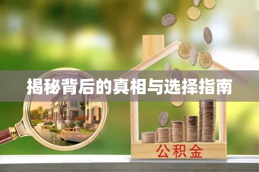 鄄城揭秘背后的真相与选择指南
