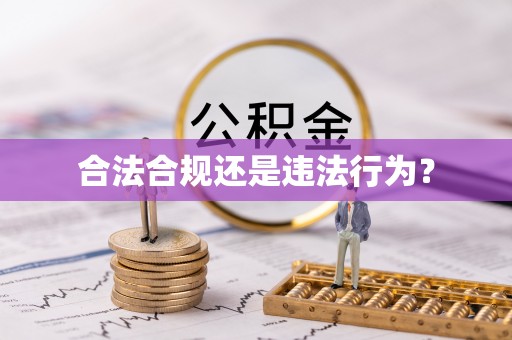 鄄城合法合规还是违法行为？
