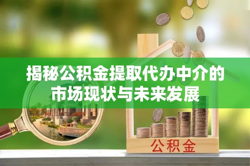 鄄城揭秘公积金提取代办中介的市场现状与未来发展