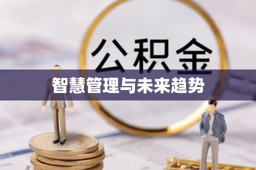 鄄城智慧管理与未来趋势