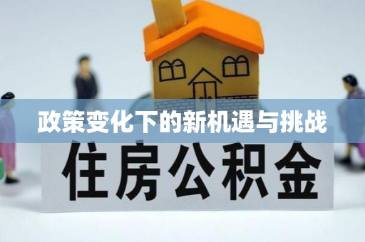 鄄城政策变化下的新机遇与挑战