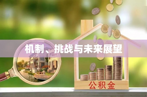 鄄城机制、挑战与未来展望